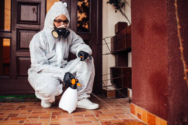 Reliable Cockroach Control contractor in Newport News, VA by Nex Pest Control