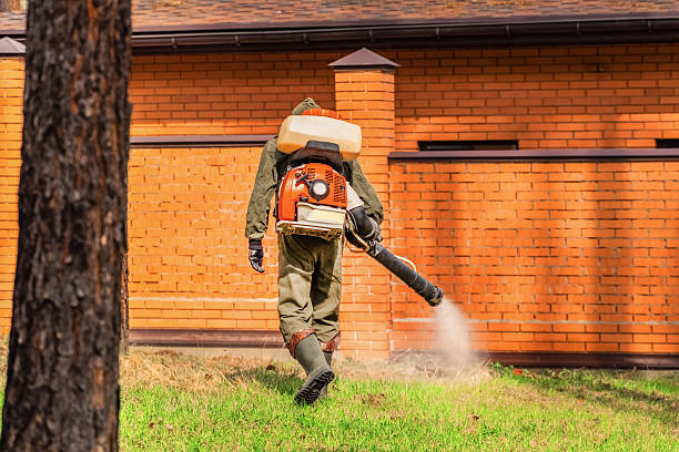 Trusted Cockroach Control service in Newport News, VA - Nex Pest Control